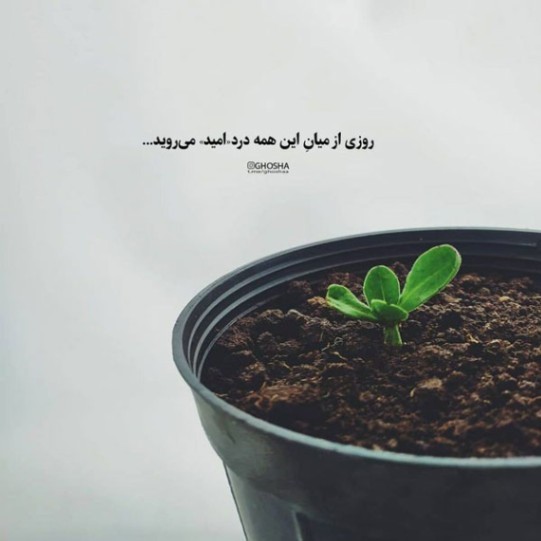 دانلود آهنگ هرشب کنارت حالم یه جوریه محسن چاوشی شایان جهانشاهی هایده از فارس ترانه